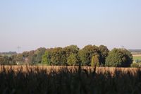 G Blick Vom Waldfriedhof auf Friehof Falken 10.10.2021 16,30 Uhr 