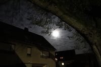 Linde und der Mond 29.10.20320 ca 19 Uhr