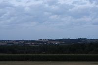 Maisfeld im Hintergrund Langenberg 21.08.2021